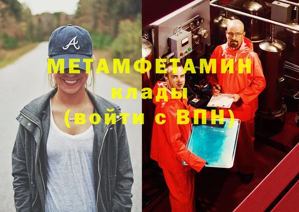 индика Новодвинск