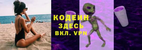 индика Новодвинск