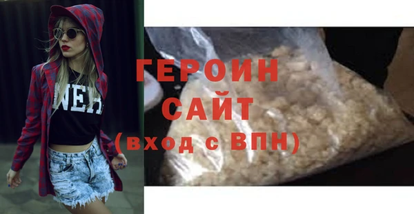 индика Новодвинск