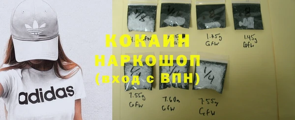 дживик Арсеньев