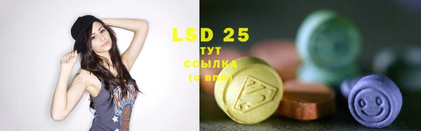 индика Новодвинск