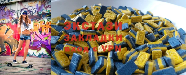 индика Новодвинск