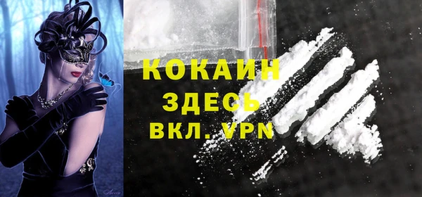 индика Новодвинск