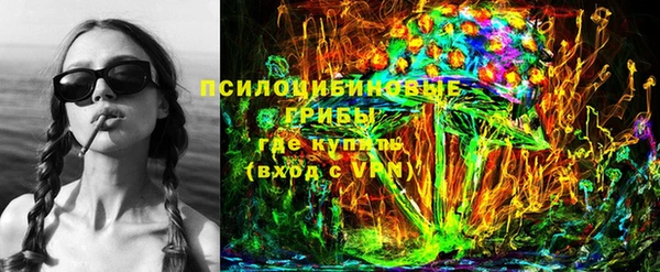 трава Новозыбков