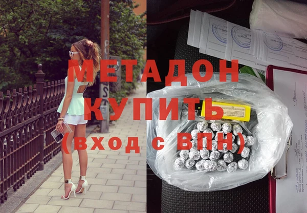 индика Новодвинск