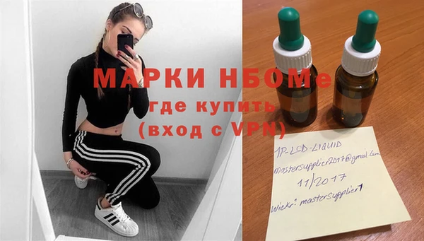 трава Новозыбков