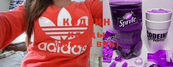 индика Новодвинск